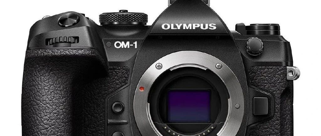 OM-1合焦精度提升 已接近佳能R5水准