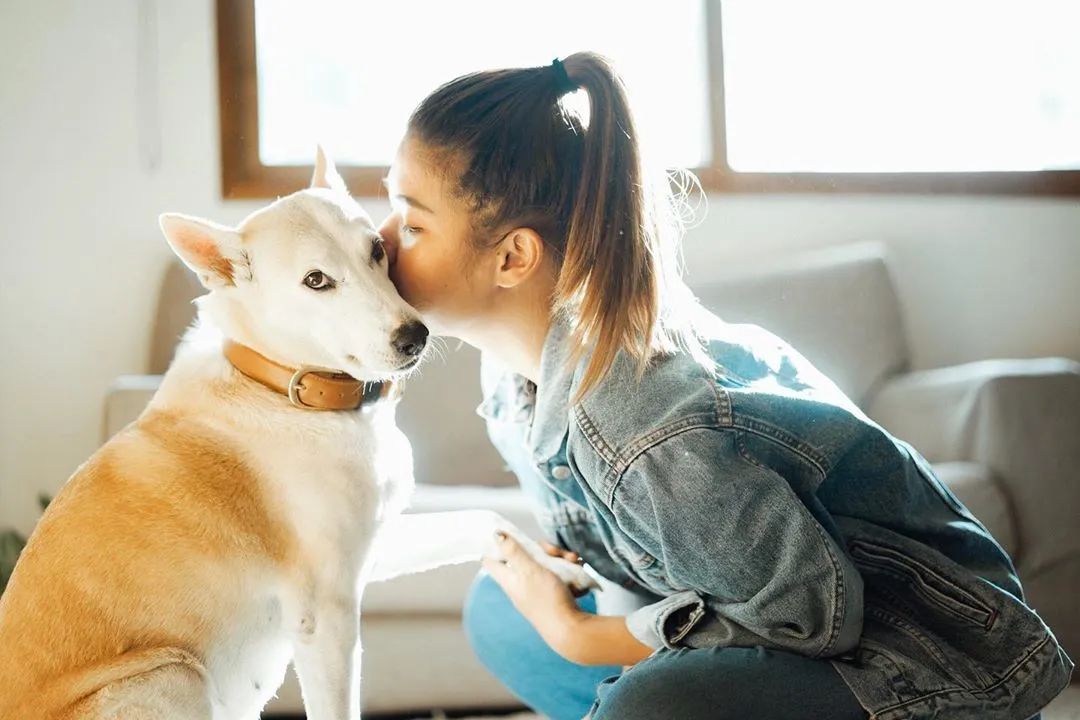 世界上最快樂的流浪狗，它戰勝癌症後，用微笑治愈全世界 寵物 第64張