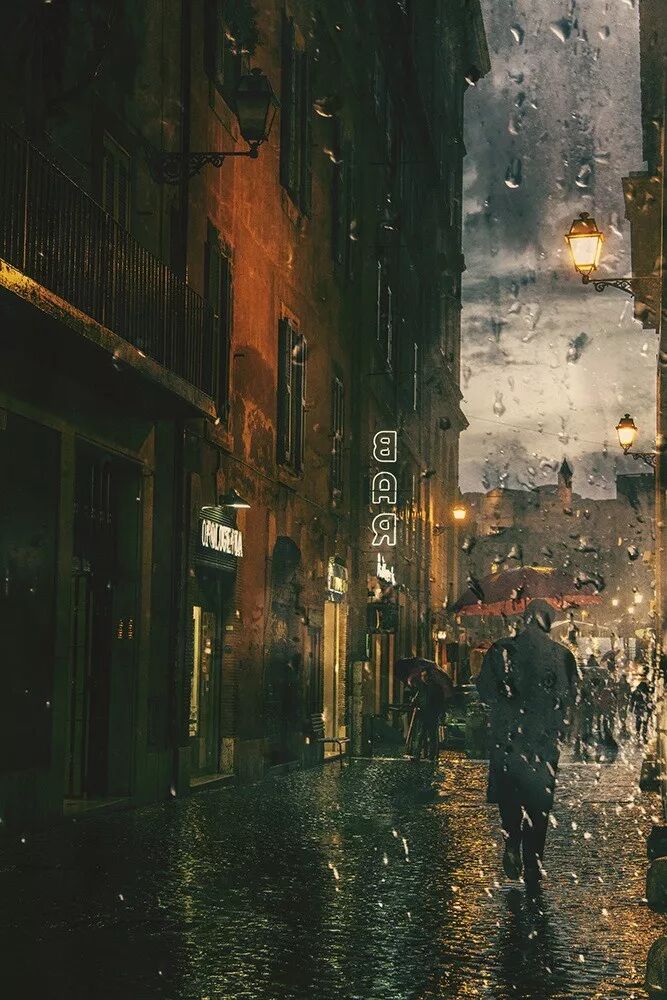 摄影师镜头下的雨中城市图鉴赏析