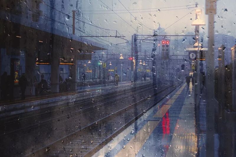 摄影师镜头下的《雨中城市图鉴》赏析|雨景_网易艺术