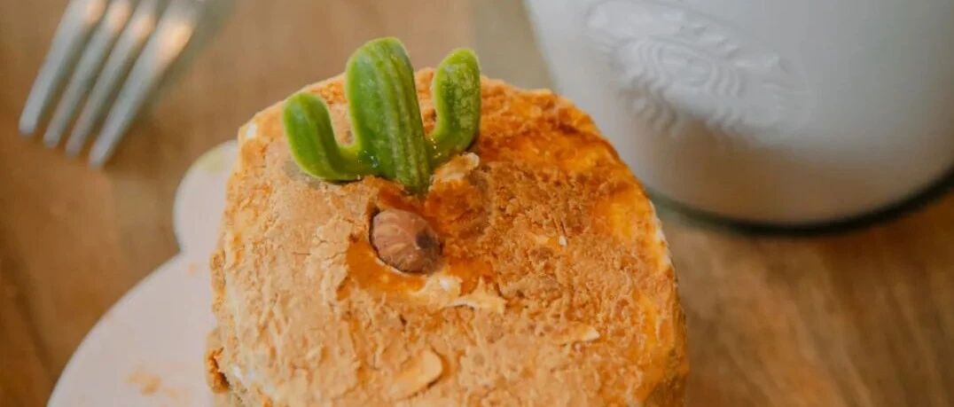 星巴克卖可以吃的仙人掌，万万没想到是用这个做的!