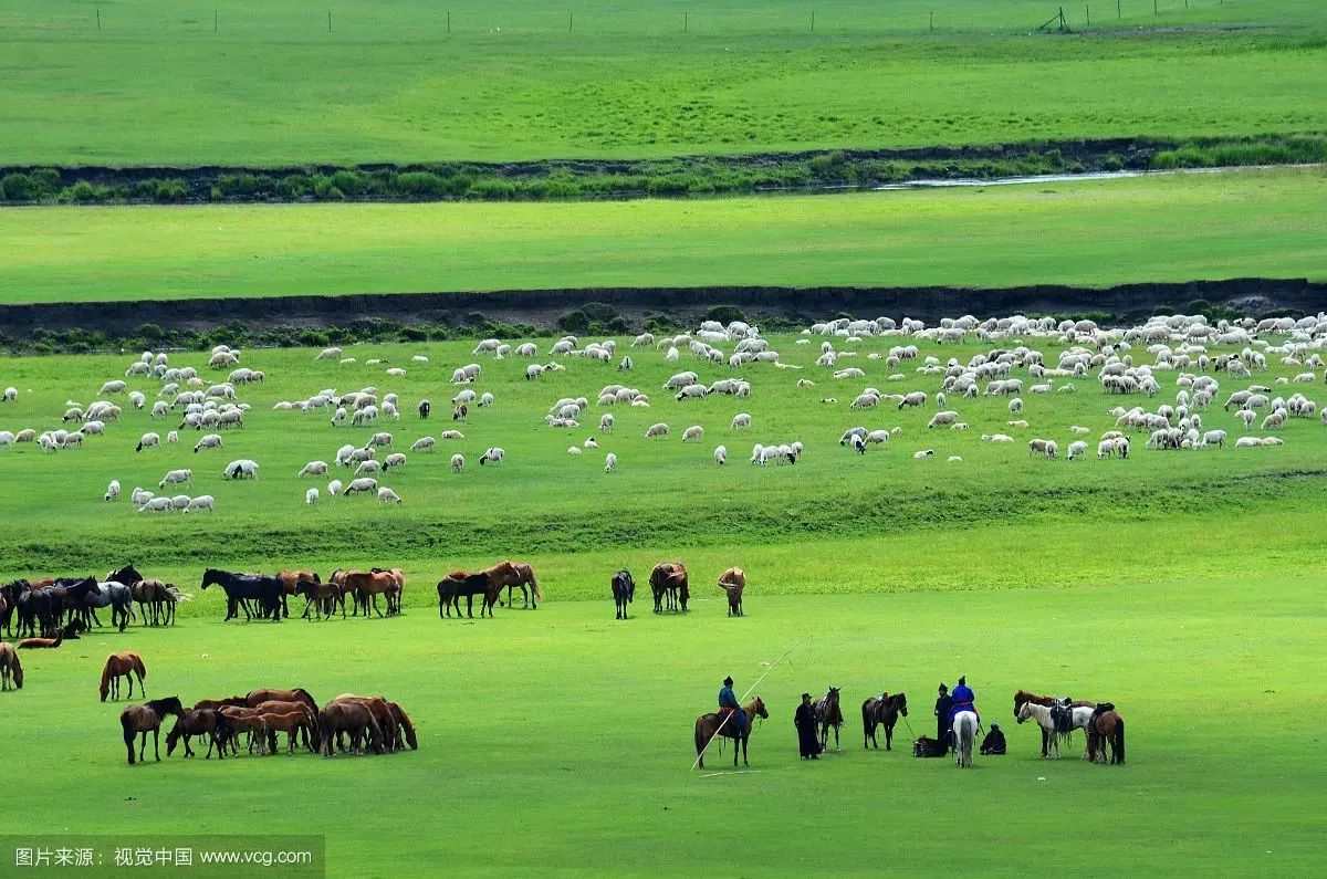 其余的三个呼伦贝尔草原,那拉提草原,锡林郭勒草原都位于中国