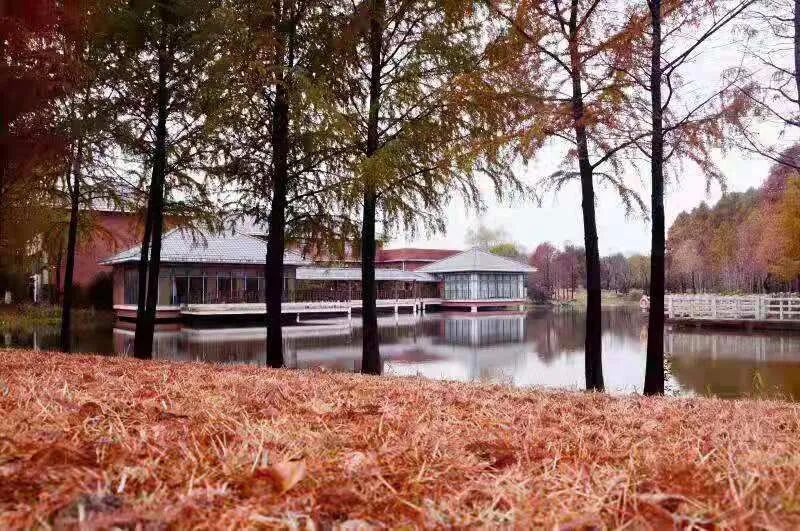 四念处｜上海顾村公园书院2021年8月22日一日精进禅