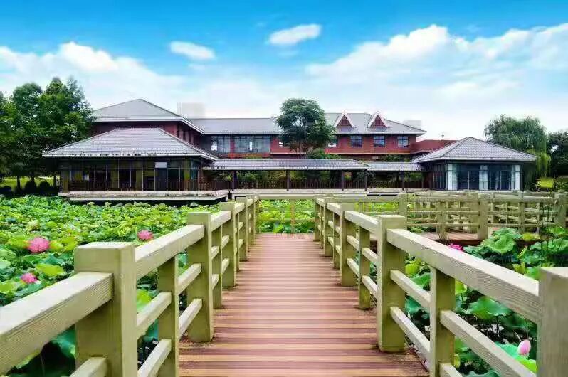 四念处｜上海顾村公园书院2021年8月22日一日精进禅