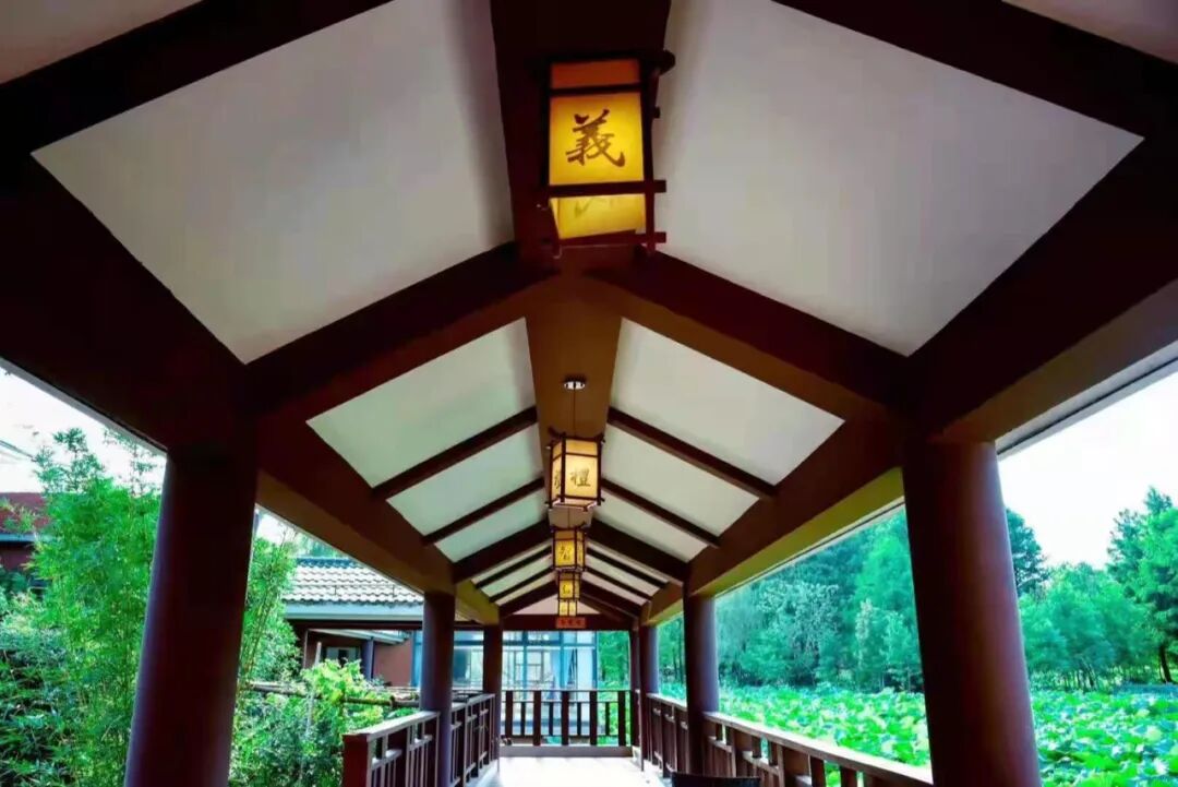 四念处｜上海顾村公园书院2021年8月22日一日精进禅