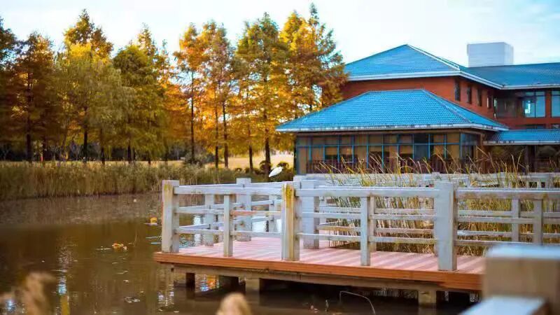 四念处｜上海顾村公园书院2021年8月22日一日精进禅