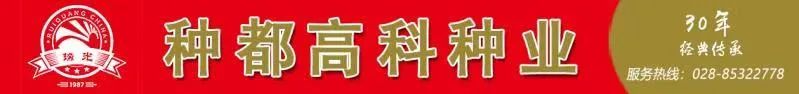 致富农业项目_致富农业节目_农业致富经