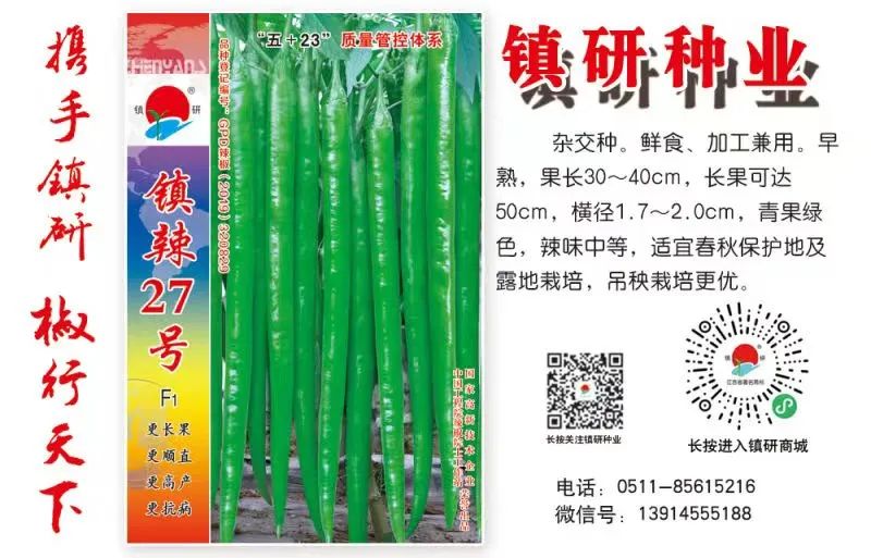 农业致富经_致富农业节目_致富农业项目