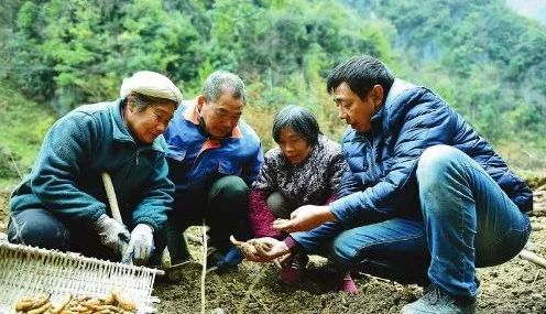 农业卫视致富项目_农业节目致富经_农业致富频道节目表