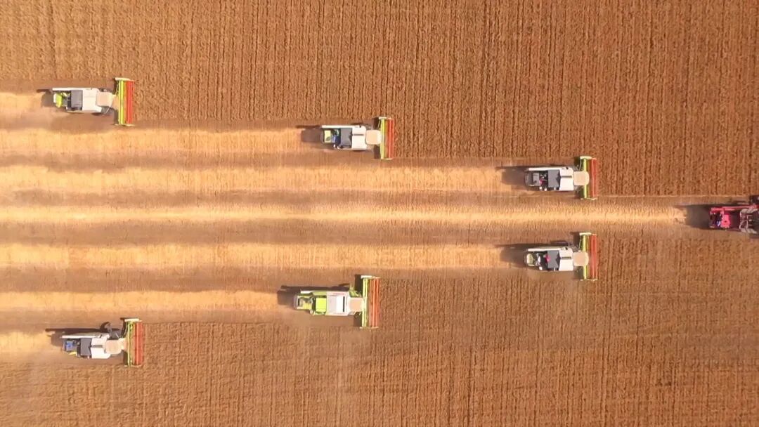 河南的夏糧產(chǎn)量波動，應(yīng)該如何客觀看待