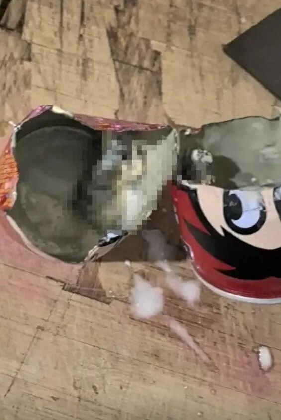 旺仔牛奶中疑现老鼠？当事人最新发声