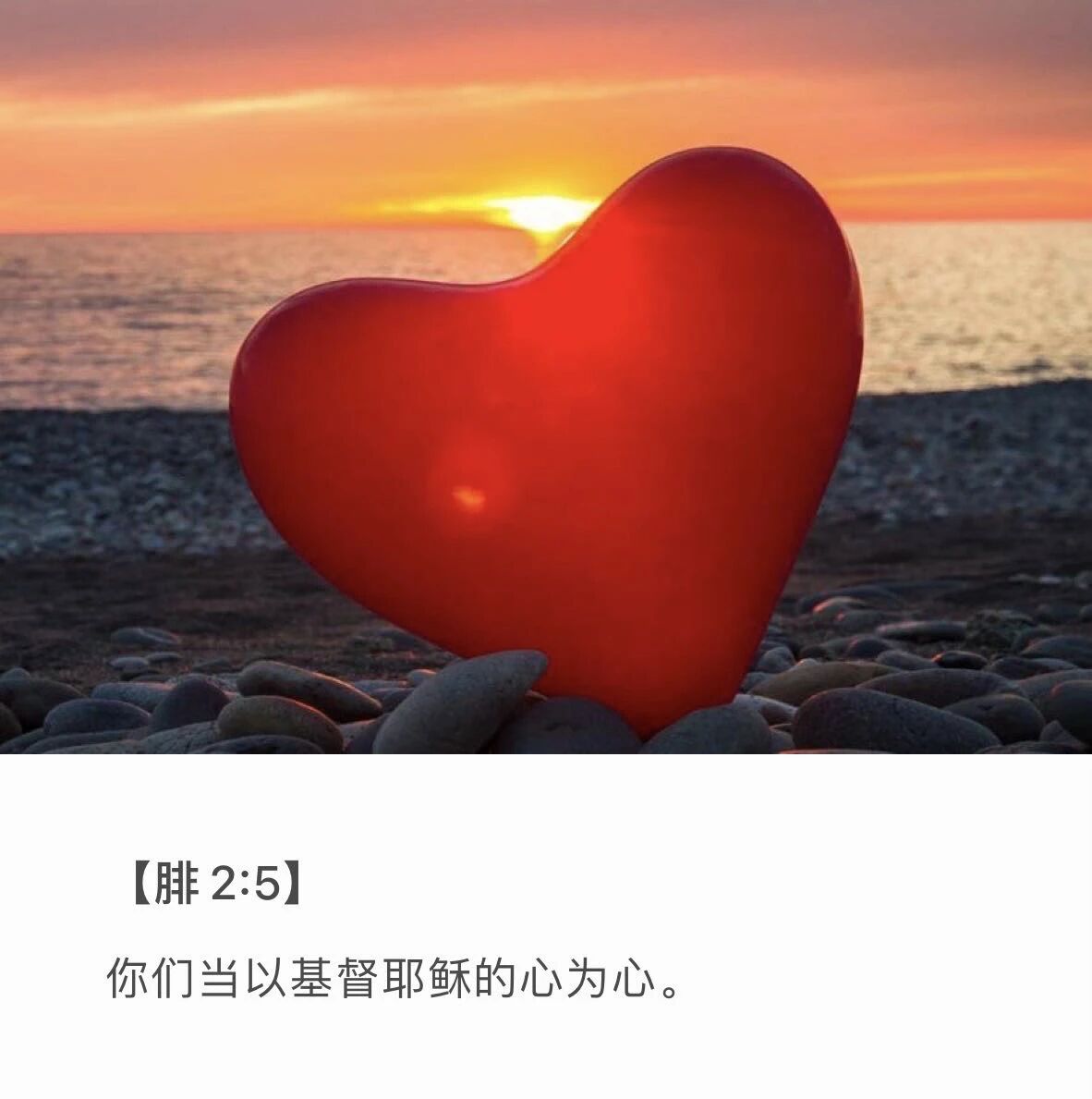 生命如何突破 如何快速成长 答案 以基督的心为心 思祂所思 说祂所说 行祂所行 大道至简 归纳总结为一句话 听道行道 必快速提升生命 不然一切皆为空 只不过是自己欺哄自己罢了 雅1 22 只是你们要行道 不要单单听道 自己欺哄自己 神的器皿