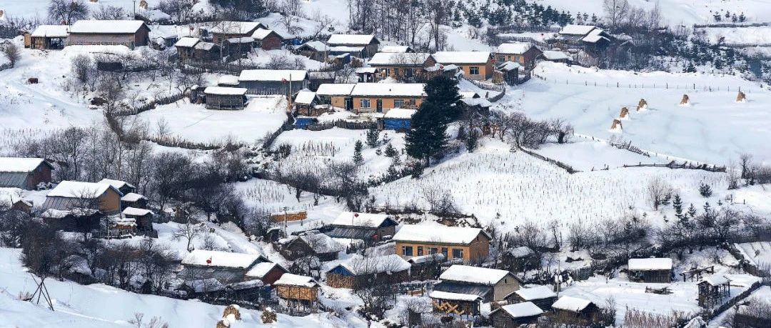 雪 村 访 雪