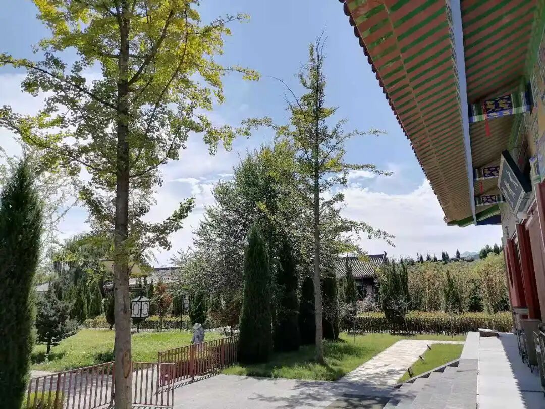 禅七丨河南省洛阳市宜阳县五花寺2021年9-10月禅七通启