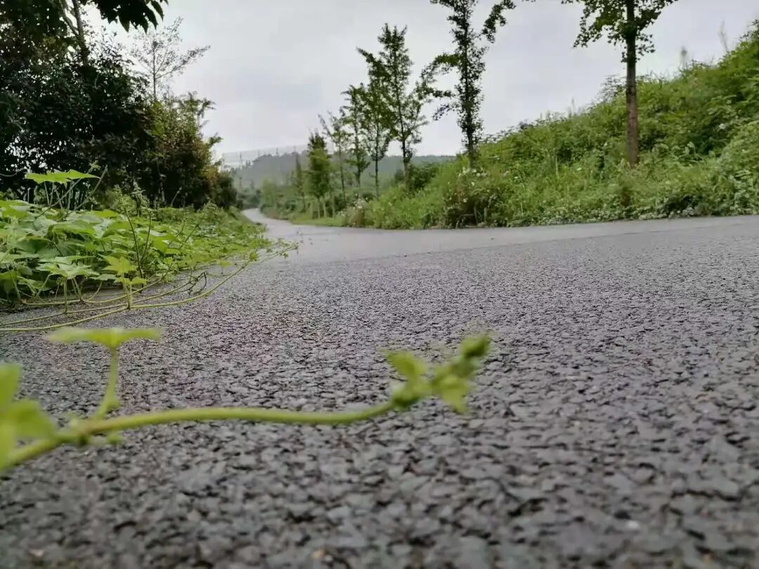 禅七丨河南省洛阳市宜阳县五花寺2021年9-10月禅七通启