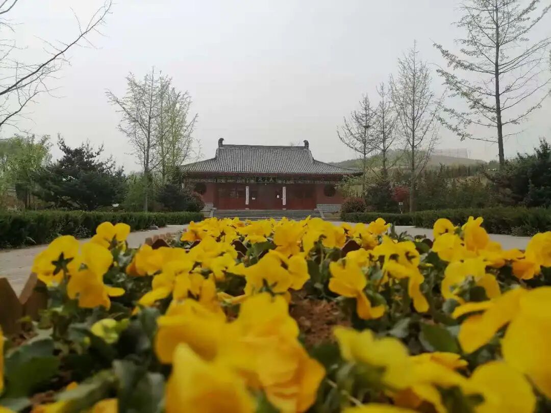 禅七丨河南省洛阳市宜阳县五花寺2021年9-10月禅七通启