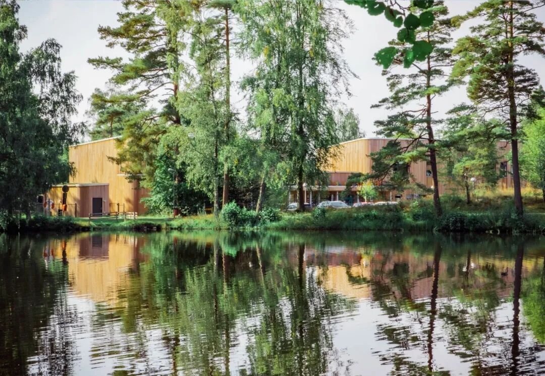 木结构：“Y字形”幼儿园