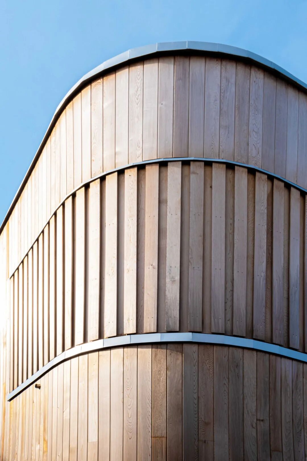 木结构：“Y字形”幼儿园