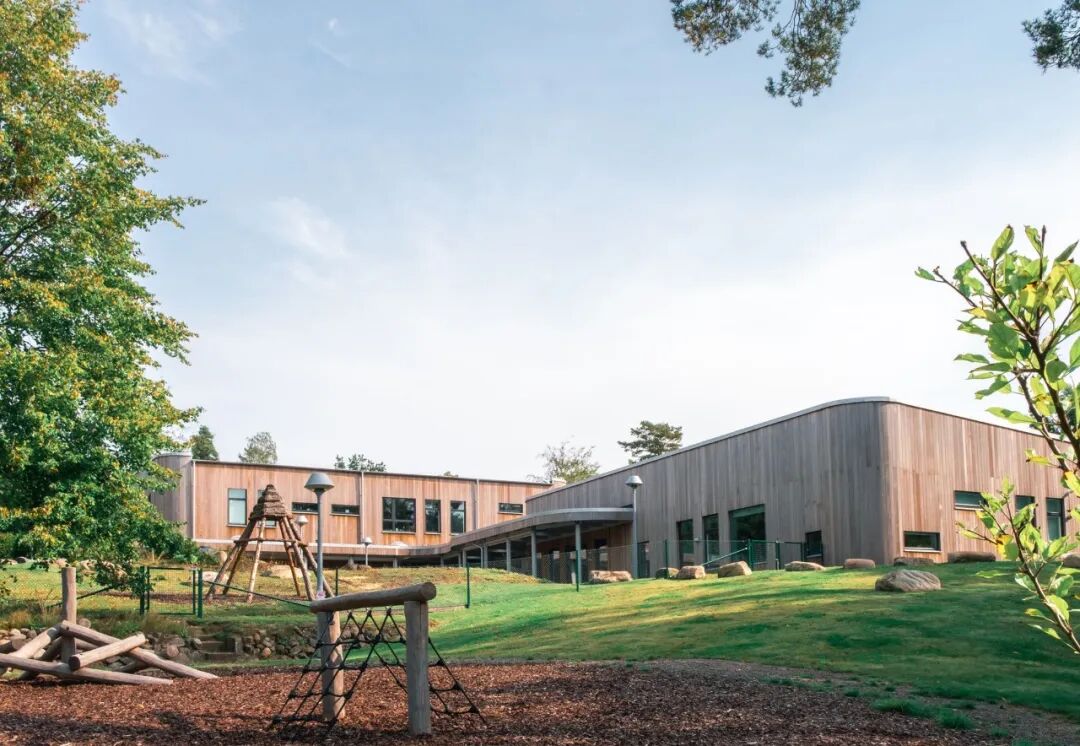 木结构：“Y字形”幼儿园