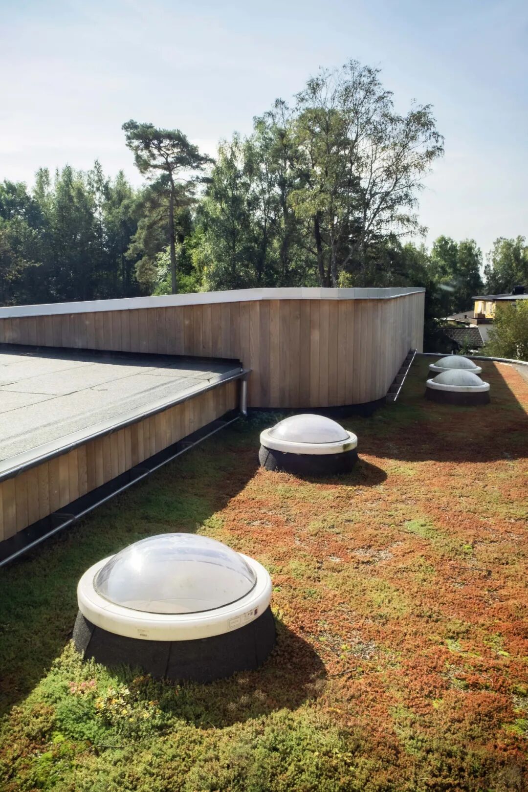 木结构：“Y字形”幼儿园