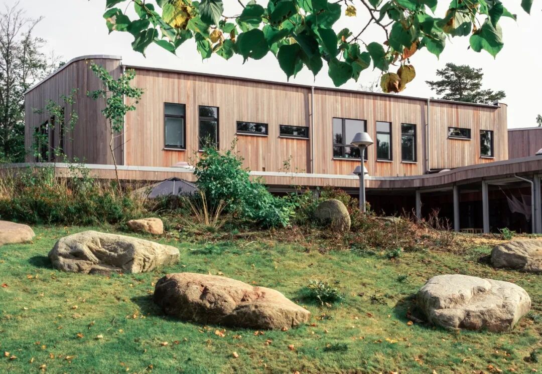 木结构：“Y字形”幼儿园