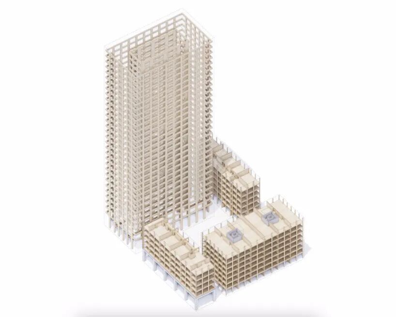 100米高木结构：住宅公寓