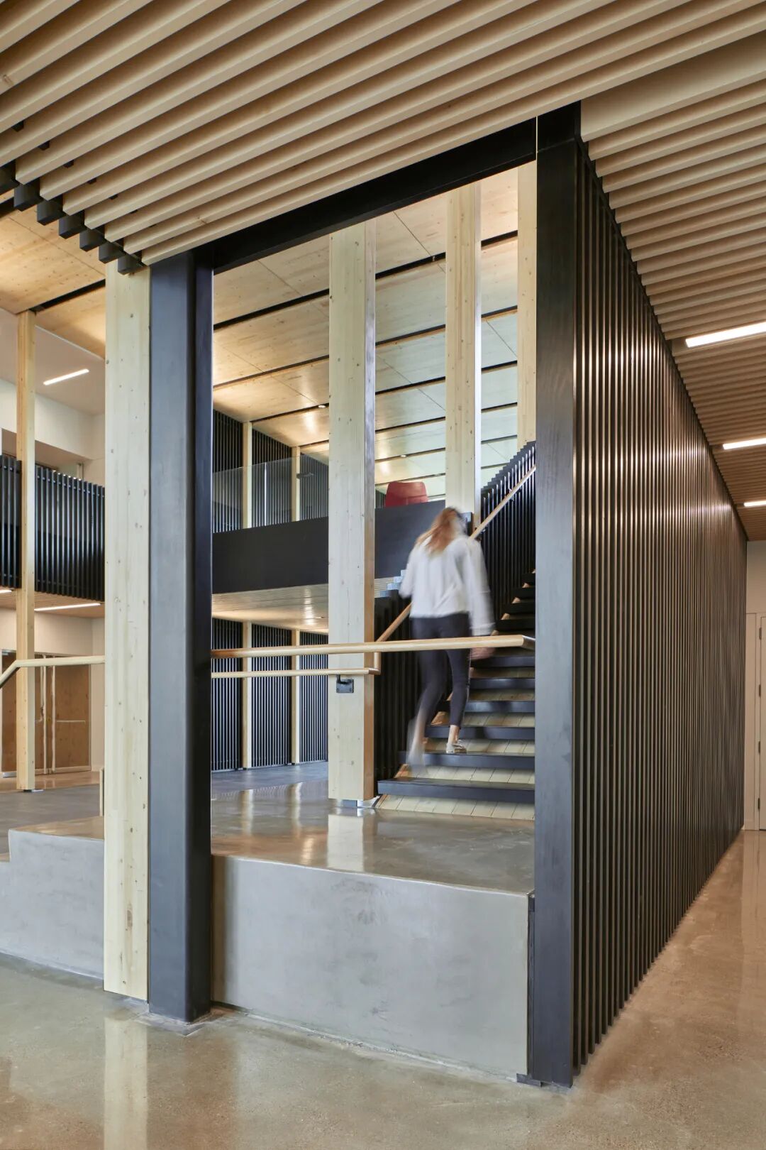 大型木结构 | 办公建筑