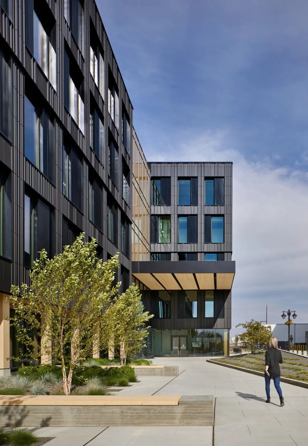 大型木结构 | 办公建筑