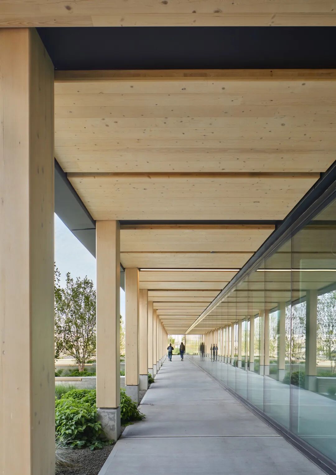 大型木结构 | 办公建筑