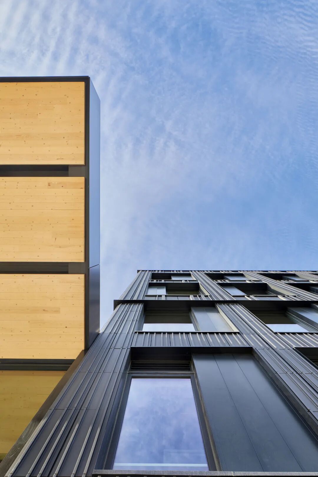 大型木结构 | 办公建筑