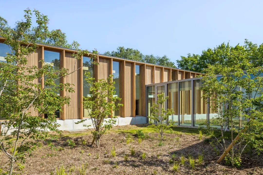 木结构小学：都市风格新外观设计