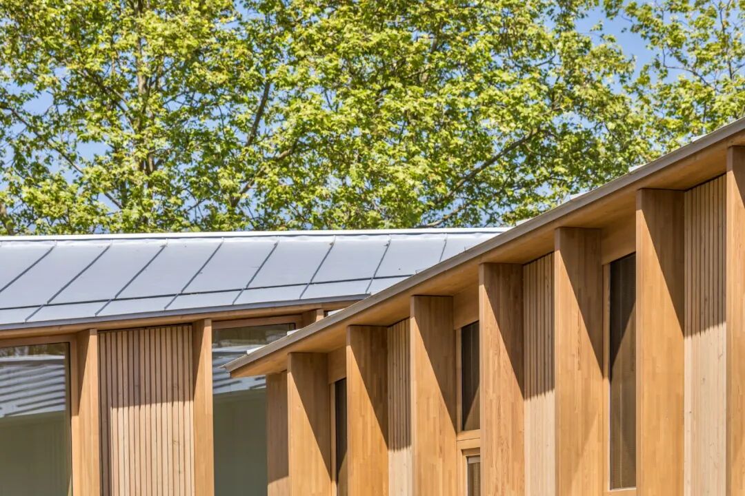 木结构小学：都市风格新外观设计