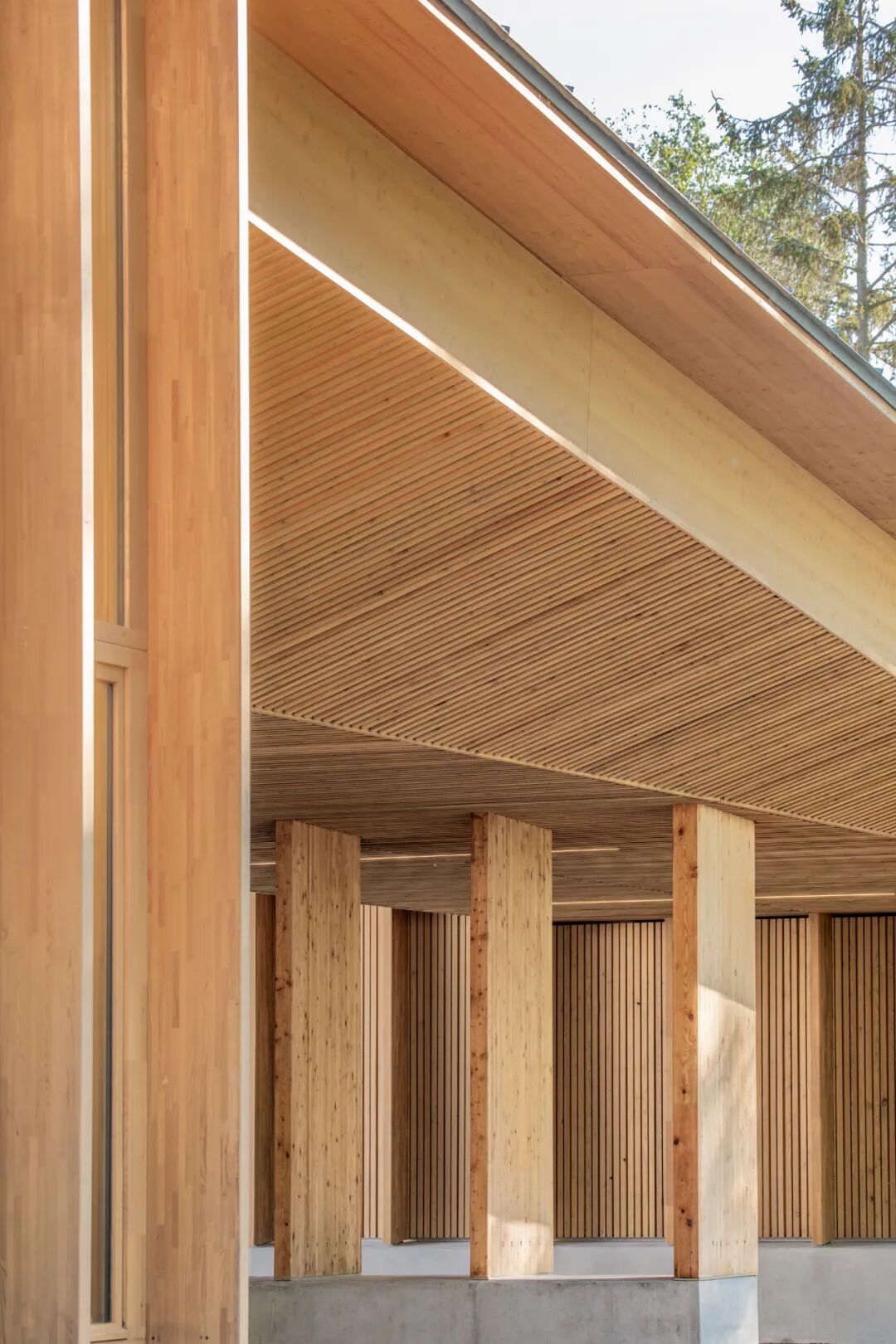 木结构小学：都市风格新外观设计