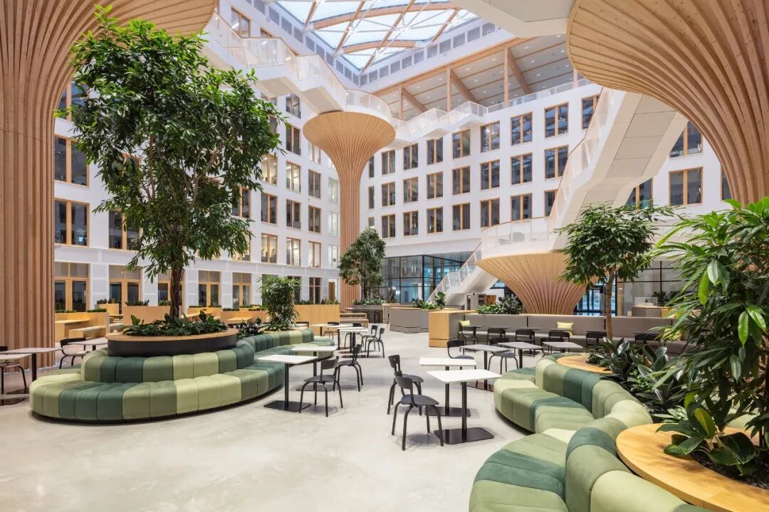 多层办公：大型木桁架结构设计