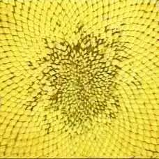 方程计算器怎么用_一元二次方程计算器_次方运算器