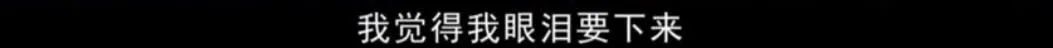 问心电视剧演员表