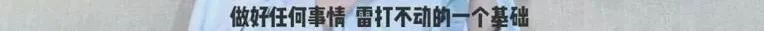 问心电视剧演员表