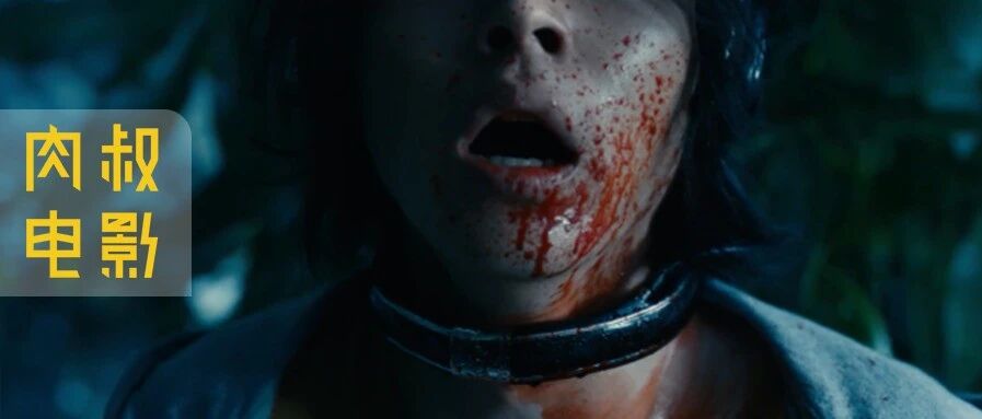 别用「大尺度爽剧」定义这爆款