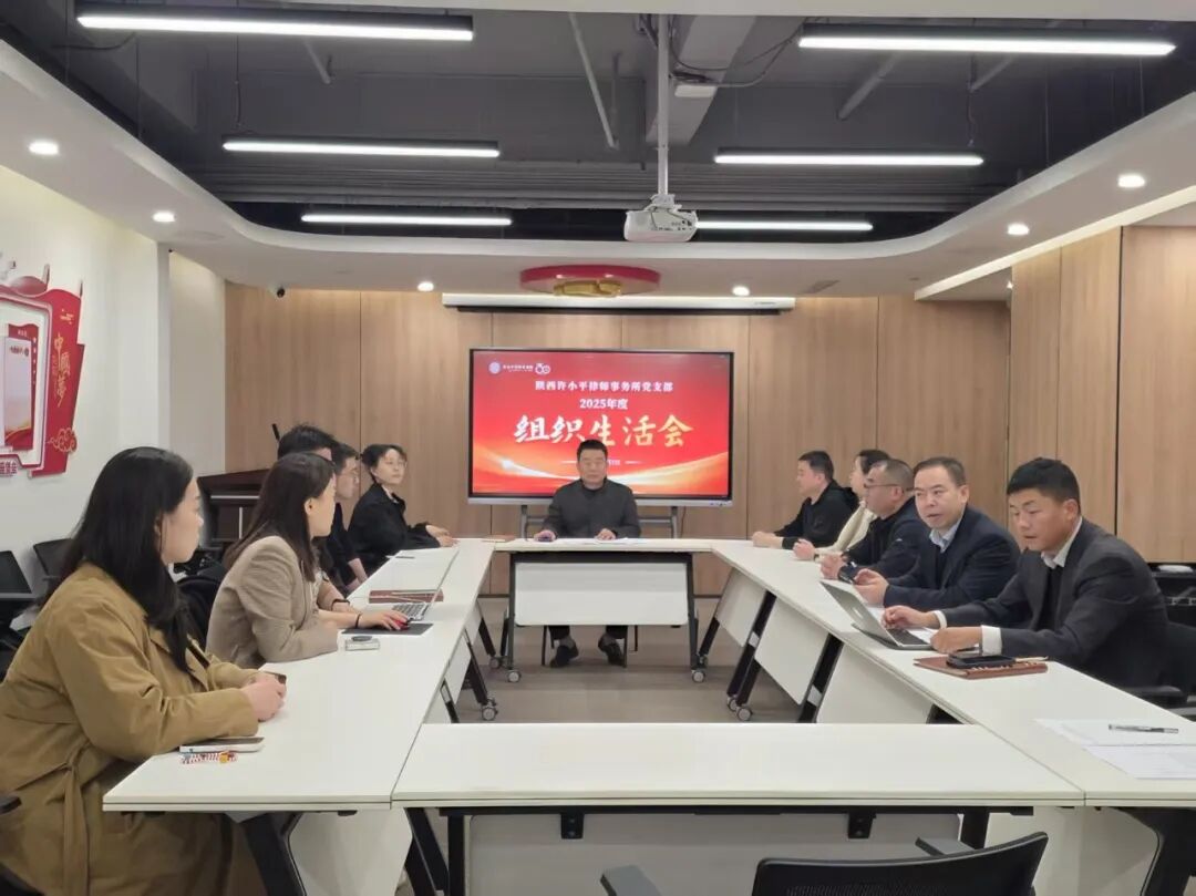 陕西许小平律师事务所党支部召开2025年度组织生活会