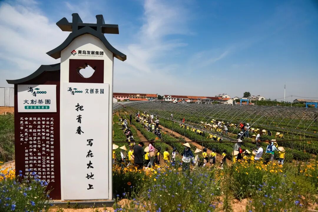 海青镇北茶商街开展粽香茶艺喜乐六一研学活动