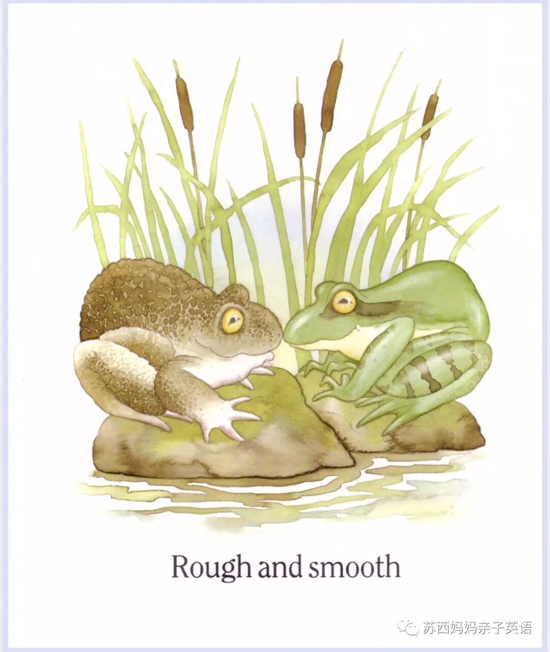 小册子英文_英语小册子模板_英语小册子怎么制作