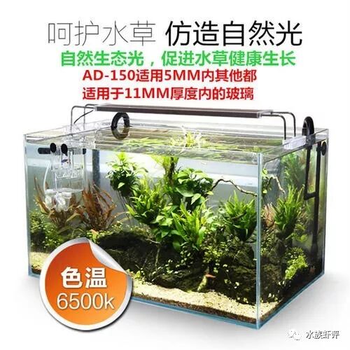 水草灯 怎么选比较好 水族虾评 微信公众号文章阅读 Wemp