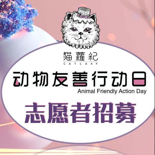 微信公众号猫萝纪catlaxy Catlaxy 最新文章 微信公众号文章阅读 Wemp