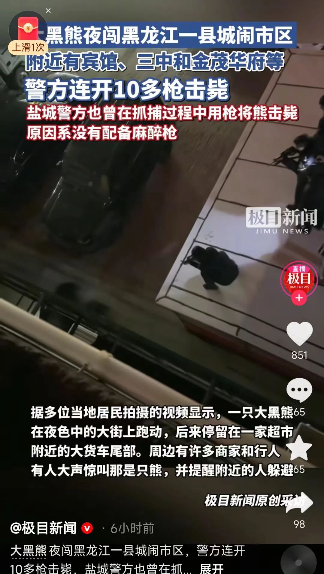 黑熊闯进超市咬90岁老人被击毙