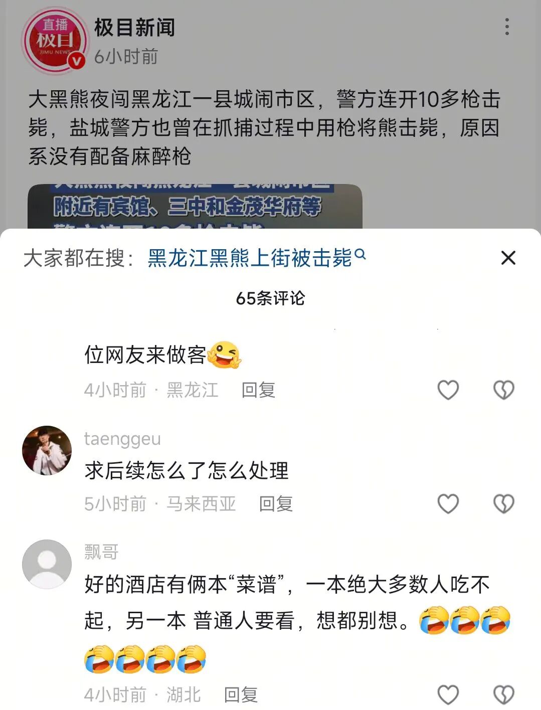 黑熊闯进超市咬90岁老人被击毙