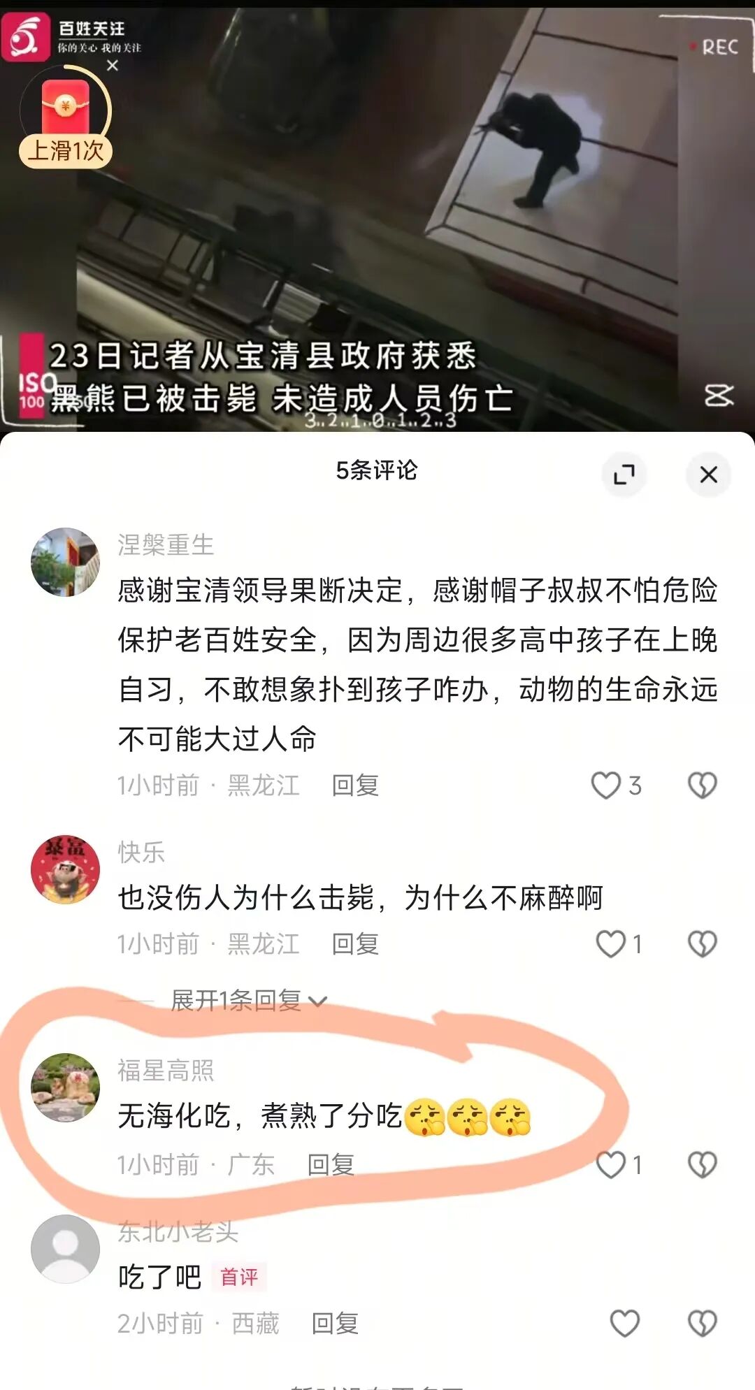 黑熊闯进超市咬90岁老人被击毙