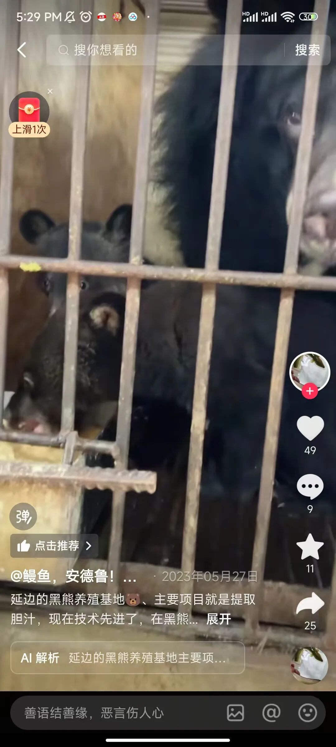 黑熊闯进超市咬90岁老人被击毙