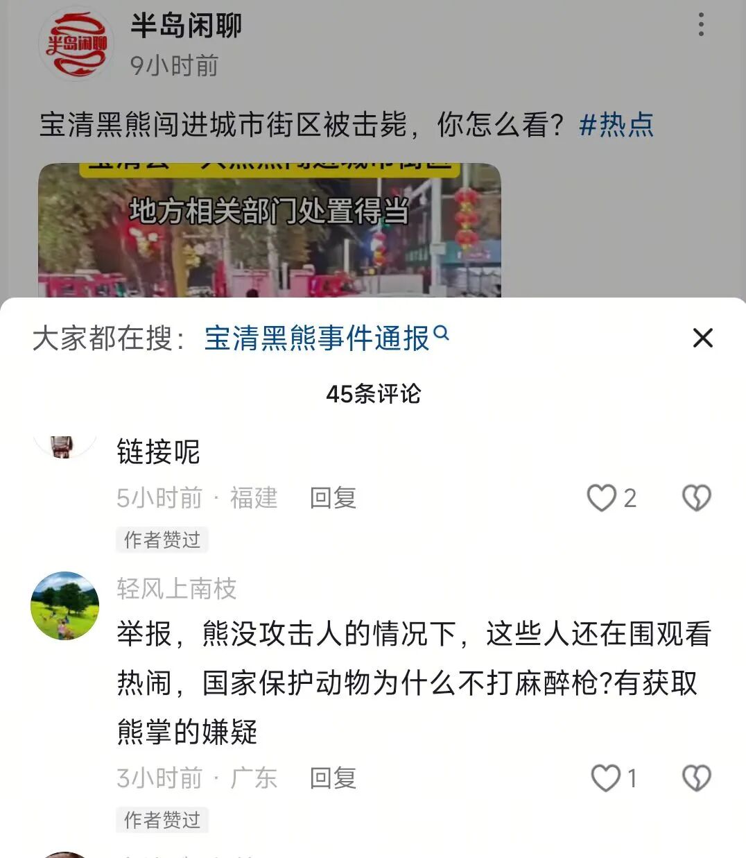 黑熊闯进超市咬90岁老人被击毙