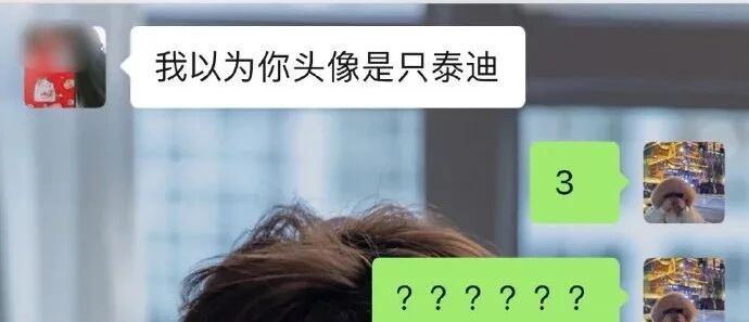 我以为你头像是只泰迪！！！哈哈哈哈哈哈笑出猪叫声！！！