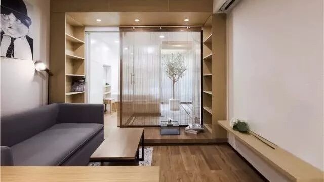 31㎡家，养了50猫，夫妻俩的2房一厅，竟还可以有个后花园！